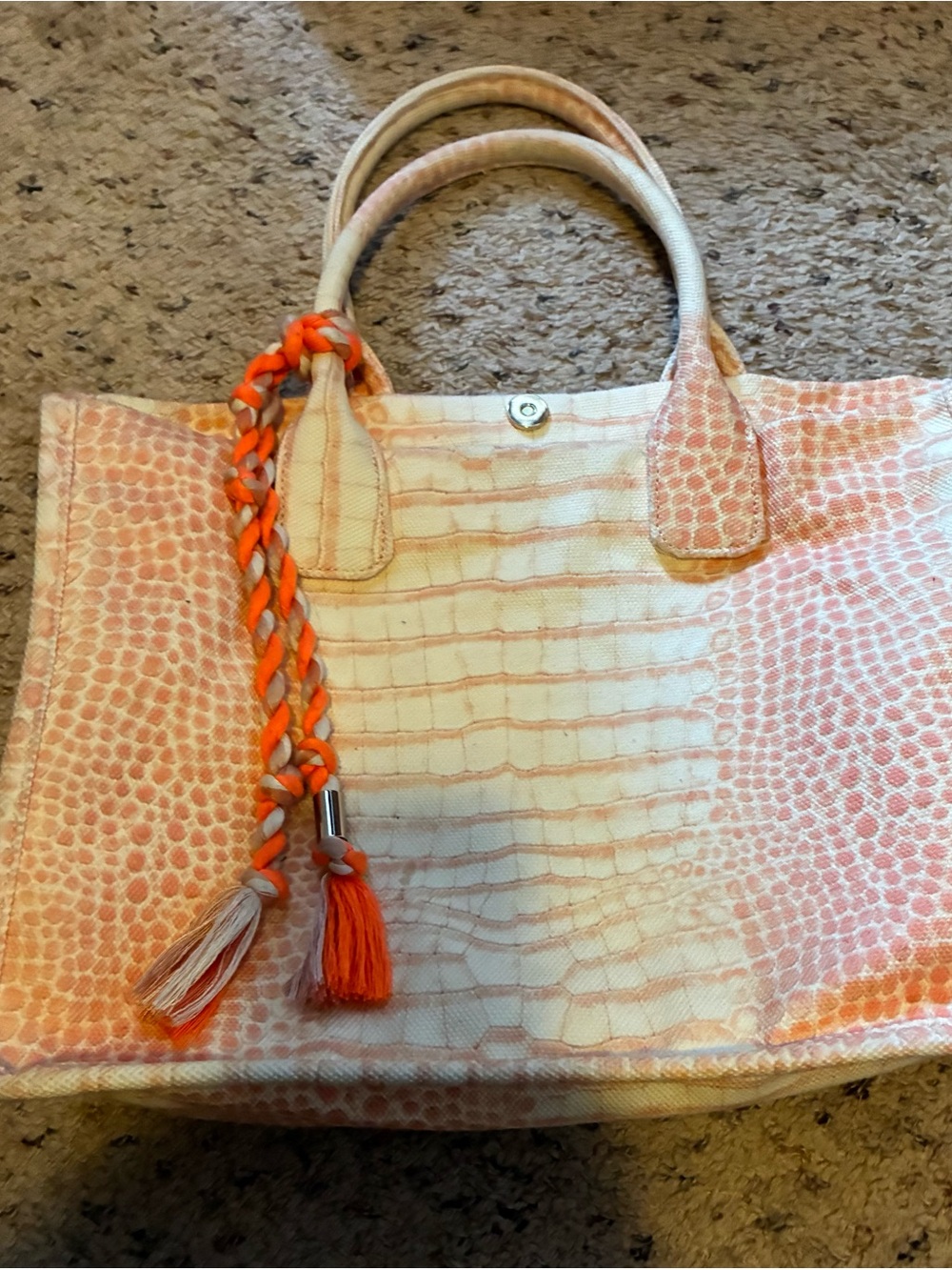Vince Camuto Orla Women’s Ombre Tote Bag with Braided Tassel